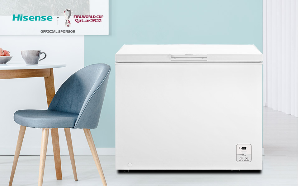 FRIGIDAIRE CONGELATEUR GORENJE – Luckyfind