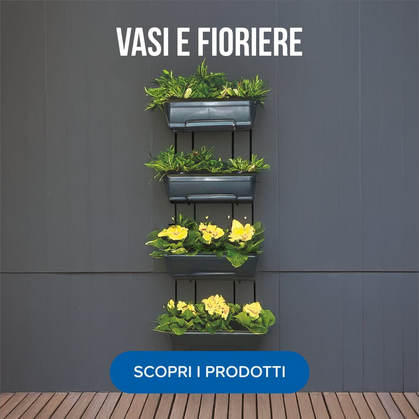 Vasi