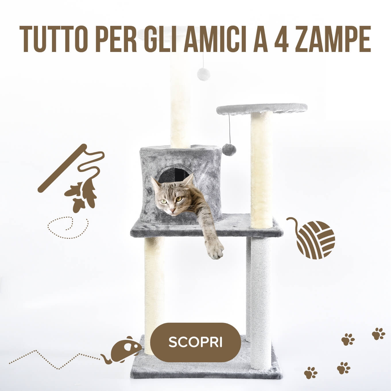 Accessori PET